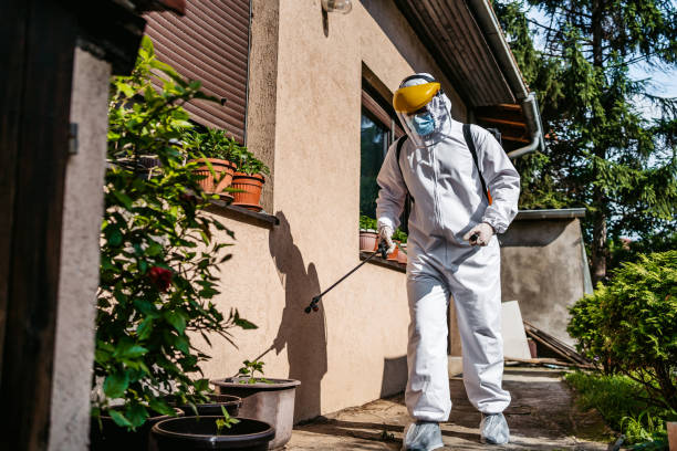 Best Affordable Pest Control Services  in USA